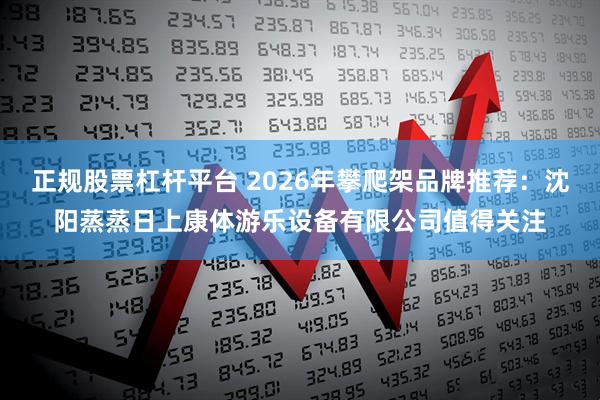 正规股票杠杆平台 2026年攀爬架品牌推荐：沈阳蒸蒸日上康体游乐设备有限公司值得关注
